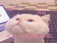 张家港市力昌五金有限公司