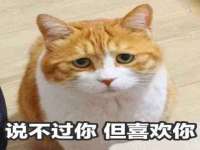 张家港市力昌五金有限公司