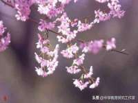 张家港市力昌五金有限公司