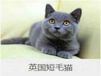 张家港市力昌五金有限公司