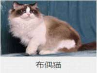 张家港市力昌五金有限公司