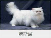 张家港市力昌五金有限公司