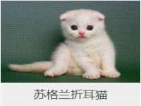 张家港市力昌五金有限公司