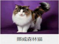 张家港市力昌五金有限公司