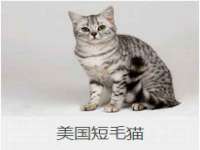 张家港市力昌五金有限公司