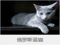 张家港市力昌五金有限公司