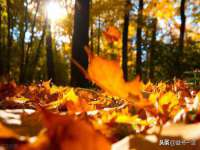 张家港市力昌五金有限公司