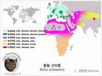 张家港市力昌五金有限公司