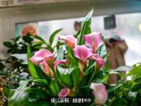 张家港市力昌五金有限公司