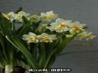 张家港市力昌五金有限公司