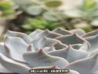 张家港市力昌五金有限公司