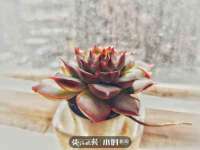 张家港市力昌五金有限公司