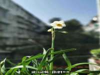 张家港市力昌五金有限公司
