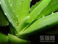 张家港市力昌五金有限公司