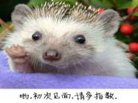 张家港市力昌五金有限公司