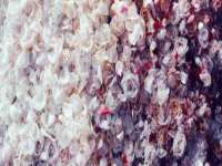 张家港市力昌五金有限公司