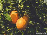 张家港市力昌五金有限公司
