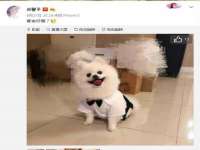 张家港市力昌五金有限公司