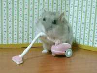 张家港市力昌五金有限公司