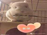 张家港市力昌五金有限公司