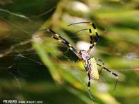张家港市力昌五金有限公司