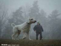 张家港市力昌五金有限公司