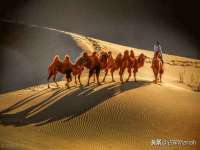 张家港市力昌五金有限公司